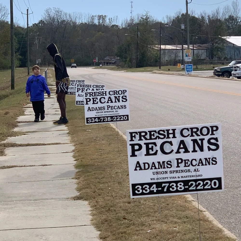 The Pecan Cookbook - Picture 6 of 10